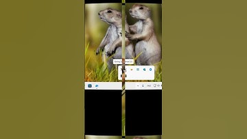 putty x11 forwarding