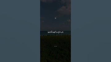 جَنَّاتُ عَدْنٍ يَدْخُلُونَهَا || صوت عذب جميل القارئ اسلام صبحي