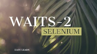 Wait 2 || SELENIUM || AUTOMATION TESTING || EASY LEARN