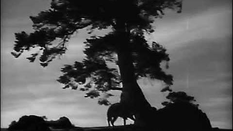El jinete. Jorge Negrete