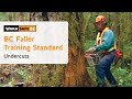 BC Faller Training Standard - Undercuts (8 of 17)