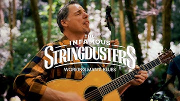 The Infamous Stringdusters - "Working Man Blues" (Official Music Video)