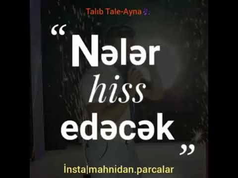 Talib taleh\