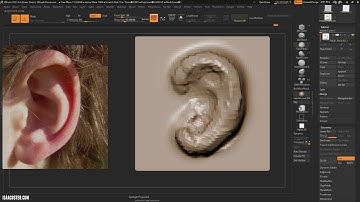 Introduction to Zbrush 07 - Spotlight, Sculpting an Ear 01