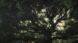 Abdal - Yalancısın