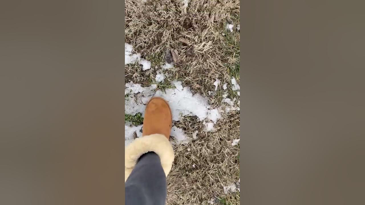 Asmr walking on ice. Ruined my uggs in a rainstorm last week. Illinois weather 2023 YouTube