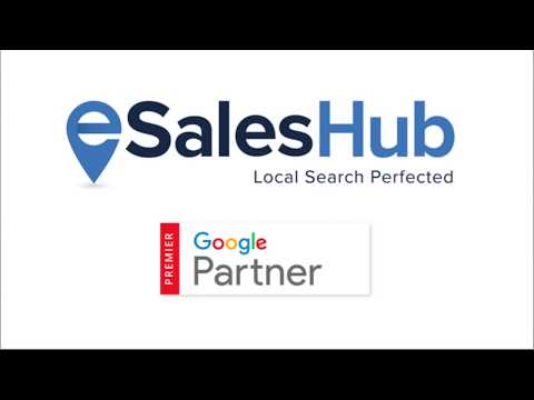 eSales Hub: Google Premier Partner eSales Hub - What is a Google Premier Partner?