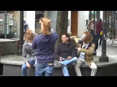 banggood.com-horse-mask-funny-moments