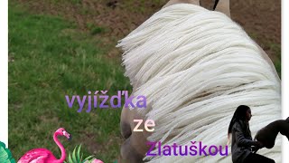 vyjížďka že Zlatuškou ❤️