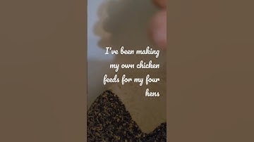 Make You Own Chickens Feed 🐔 #shortsvideo  #chickenfeed