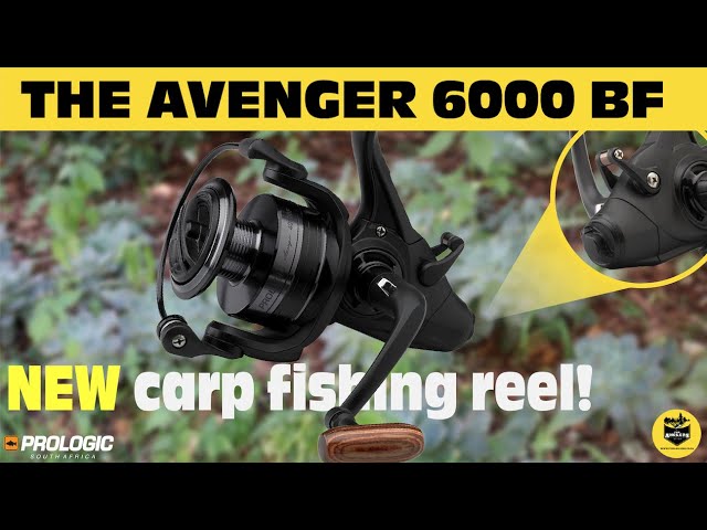 New carp fishing reel!, Avenger 6000 BF