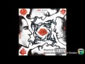 Red hot chili peppers the power of equalityalbum version