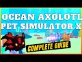 *Axolotls OCEAN* Complete Guide | Best Fusing Methods | Pet Simulator X Roblox