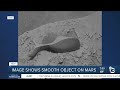 Fact or Fiction: Picture shows tadpole-like object on surface of Mars?