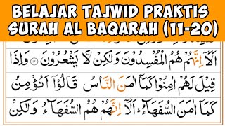 BELAJAR MENGAJI TAJWID AL BAQARAH (11-20) | TAJWID PRAKTIS KHUSUS PEMULA - LANSIA