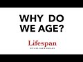 The Science Behind Why We Age | Lifespan with Dr. David Sinclair #1