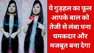 How to Grow Hair Faster with Hibiscus Flower | गुड़हल का यह फूल आपके बालों को तेजी से बढ़ाएगा