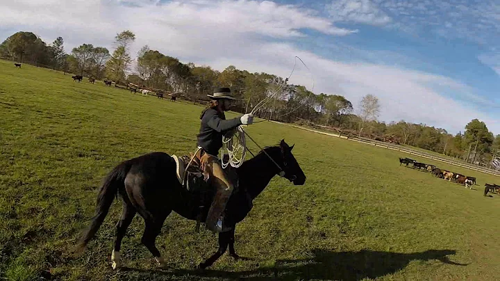 T Newman 2017 Fall Run