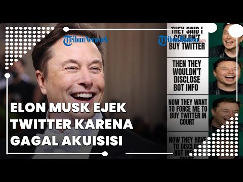 Twitter Bakal Gugat Elon Musk karena Batal Akuisisi, Bos Tesla Tanggapi dengan Meme