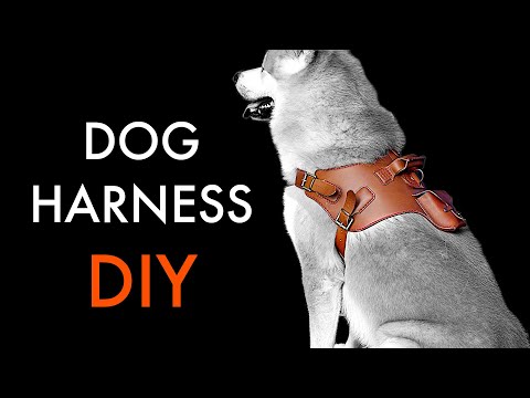 Dog Harness DIY - Tutorial and Pattern Download