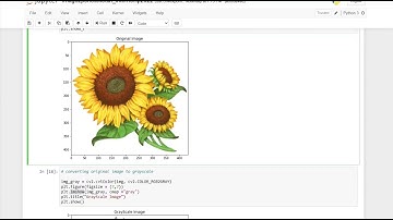 Convert an Image to Pencil Sketch/Data Science #LetsGrowMore
