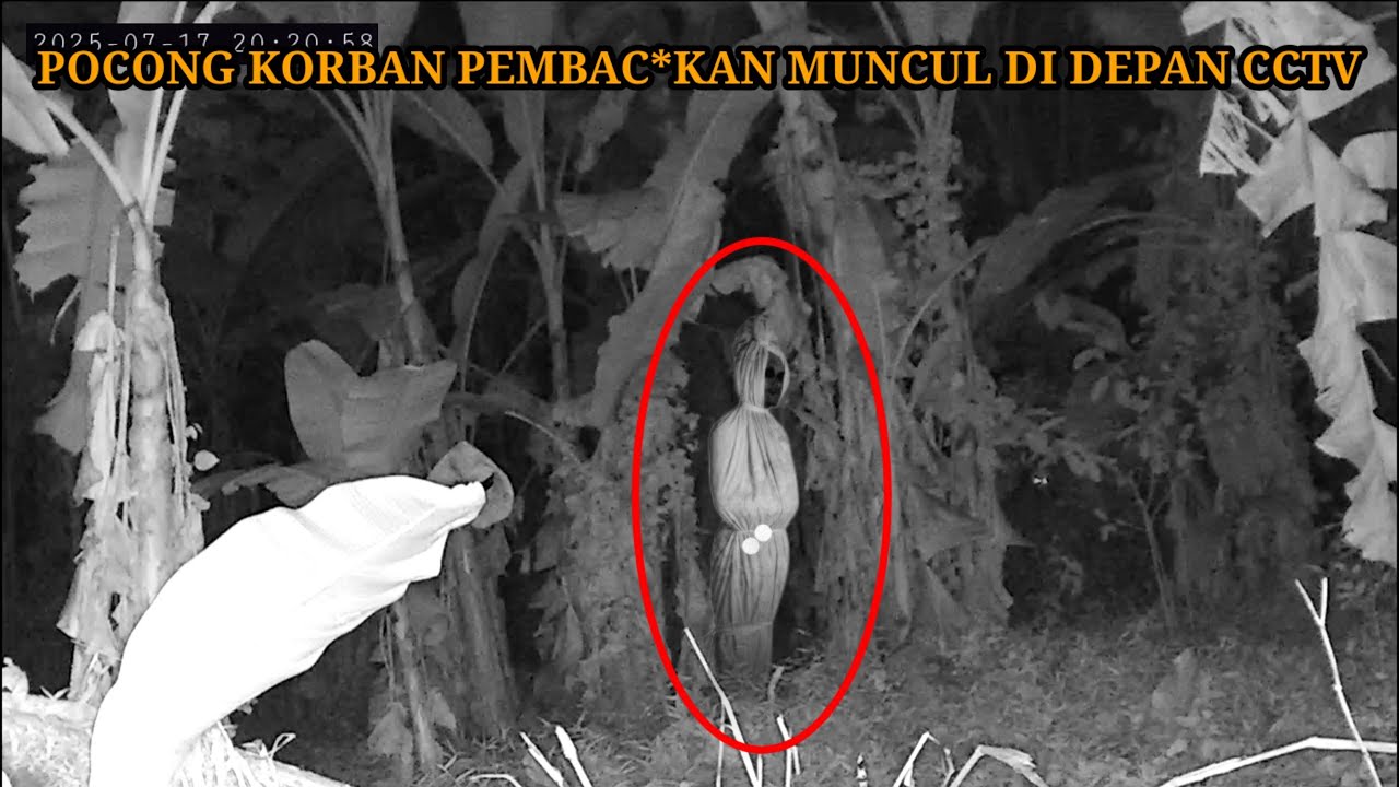 HOROR‼️ Eksperimen Cctv di tempat tragedi pertumpahan d4r4h