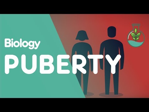 Puberty and The Hormones Involved | Physiology | Biology | FuseSchool