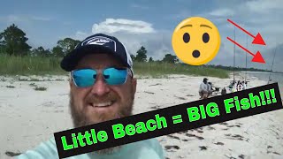 LITTLE BEACH = BIG FISH!!