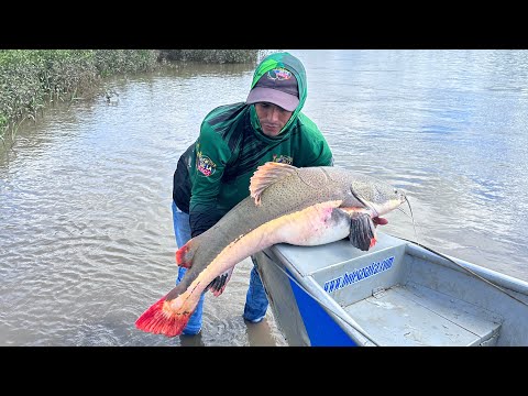 Pesca de un