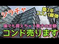 【シラチャ】パタヤだったら僕が即買いレベルのコスパ最高のコンド。