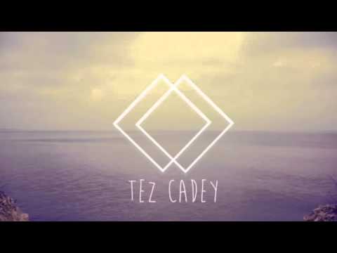Tez Cadey   Coastal Cat