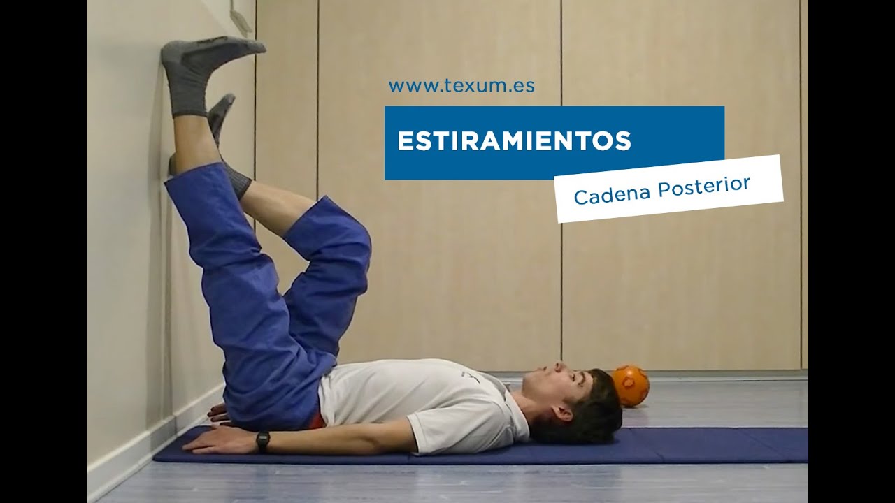 fisioterapia neurologica artigos Estiramiento Cadena Posterior