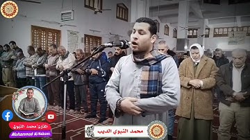 ما تيسر من سورة القصص بصوت محمد النبوي الديب | تلاوة مؤثرة تهز القلوب تلاوات من الصلوات 2025 ❤️