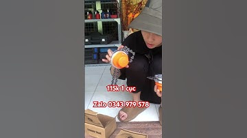 Cục cước cắt cỏ bằng xích ☎️