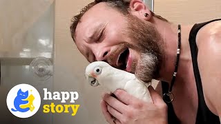 Rescue Pearl Parrot Starts A New Habit After Met Her Dad