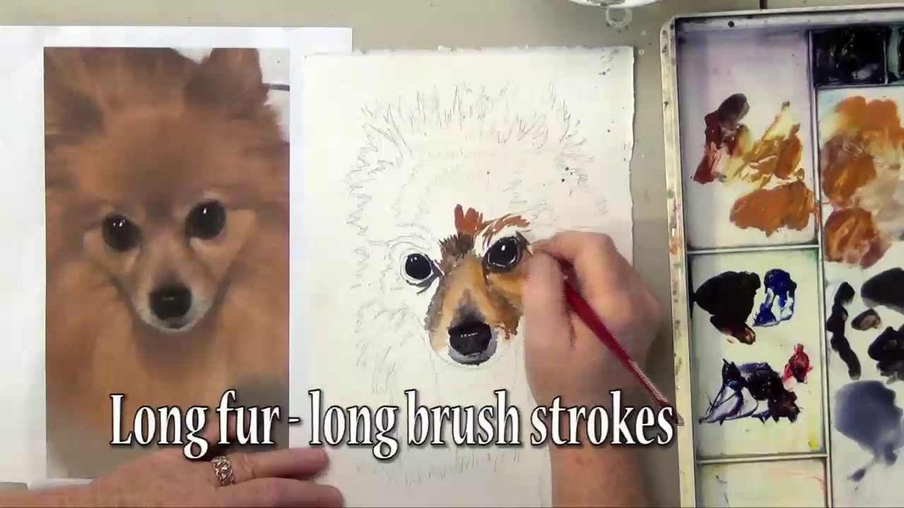 How To Paint Fur in Watercolor With A Long Haired Brown Dog by Deb