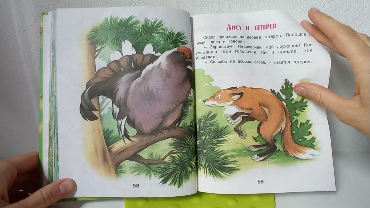 Сказка лиса и тетерев слушать аудиосказку. Кокорикок удмуртская сказка.