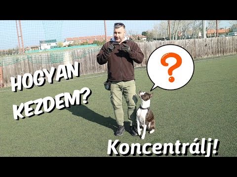 Videó: Hogyan ismerjük fel az újszülött kölykök egészségügyi problémáit?