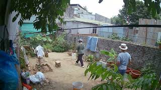 Part 11: Sow spinach seeds throughout the garden