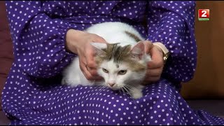 картинка: Реабилитация животных после переломов |ВКЛЮЧАЙСЯ