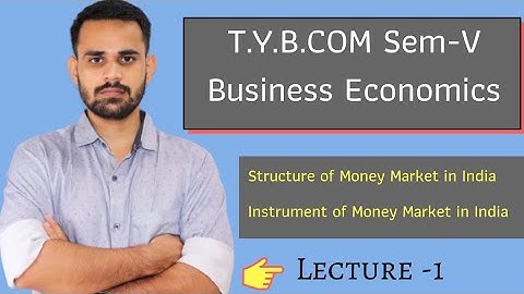 Structure of Money Market in India | Instrument of Money Market | Tybcom sem 5 Business Economics