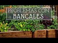 Inconvenientes de los Bancales Elevados. Lo que nunca se explica