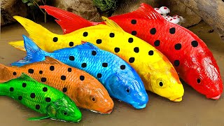 Stop Motion Cooking ASMR Colorful Koi Fish Cow, ikan &amp; Big Frog 다채로운 잉어물고기 | 거대한 개구리 - 무지개 메기/ 스톱 모션