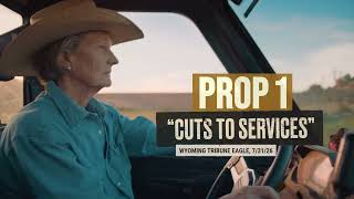 Details Prop 1 guts local services $125 million per year: Vote NO Guide
