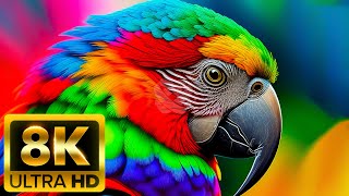 ANIMALS LOVELY MOMENTS - 8K (60FPS) ULTRA HD - With Relaxing Music (Colorfully Dynamic)