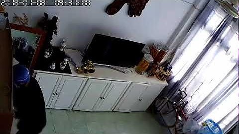 Cảnh giác trộm cắp tại khu chung cư