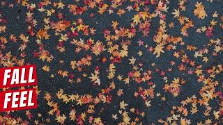 Fall Is Coming Early for Millions Across the US