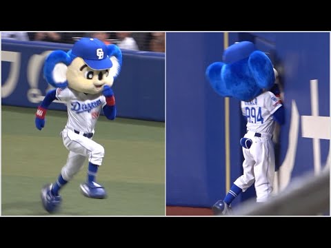 狂気を感じる速度でダッシュするドアラ→そのままフェンスに大激突！？ (2023/08/30)