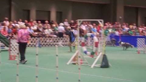 running contacts compilation