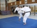 Karate  tiger karate  shotokan and mix of martial arts